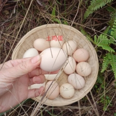 生态放养土鸡蛋 60枚/箱
