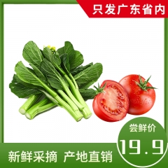 每日鲜蔬 套餐1 （菜心+西红柿）650g～950g