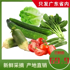 每日鲜蔬 套餐6 （意大利生菜+菜心+西红柿+秋葵+青瓜+青萝卜）3000g～3500g