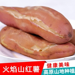 陕北特产 红薯 新鲜农家自种火焰山老品种红薯 5斤装